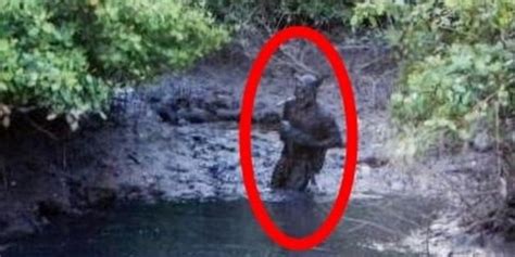  Yara: A Mysterious Creature Lurking Beneath the Brazilian Waters?